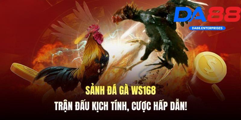 Ws168 Đá Gà – Trò chơi được nhiều hội viên DA88 lựa chọn 3 Điểm nổi bật của Ws168